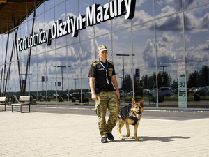 przewodnik z psem służbowym na lotnisku w Szymanach przewodnik z psem służbowym na lotnisku w Szymanach