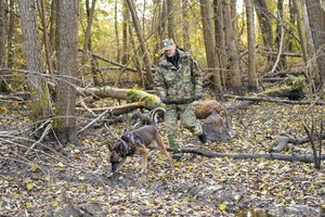 przewodnik z psem służbowym przewodnik z psem slużbowym