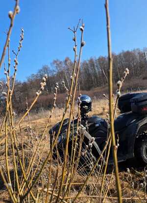Placówka Straży Granicznej w Braniewie Placówka Straży Granicznej w Braniewie