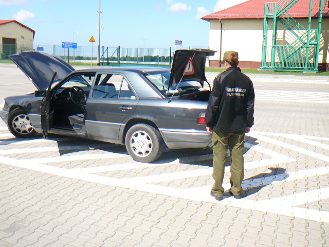 Mercedes Grzechotki