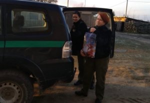 Funkcjonariusze i pracownicy Straży Granicznej rozdali świąteczne prezenty 