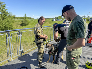 Mistrzostwa w kwalifikowanej pierwszej pomocy Mistrzostwa w kwalifikowanej pierwszej pomocy