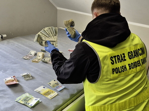 zabezpieczone środki finansowe zabezpieczone środki finansowe