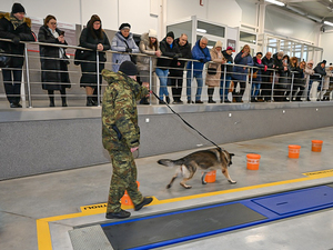 przewodnik z psem służbowym przewodnik z psem służbowym