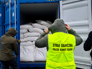 zabezpieczona krajanka tytoniowa zabezpieczona krajanka tytoniowa