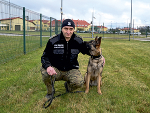 Pies służbowy Bax z przewodnikiem z Placówki Straży Granicznej w Grzechotkach Pies służbowy Bax z przewodnikiem z Placówki Straży Granicznej w Grzechotkach