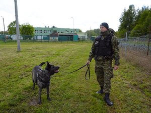 przewodnik z psem służbowym przewodnik z psem służbowym