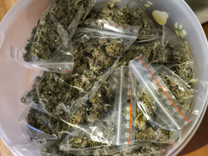 ujawniony susz roślinny ujawniony susz roślinny