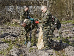 funkcjonariusze z Warmińsko-Mazurskiego Oddziału Straży Granicznej sadzą las funkcjonariusze z Warmińsko-Mazurskiego Oddziału Straży Granicznej sadzą las