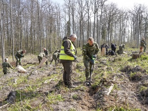 Komendant Warmińsko-Mazurskiego Oddziału Straży Granicznej gen. bryg. SG Daniel Wojtaszkiewicz i Nadleśniczy Nadleśnictwa Srokowo Pan Zenon Piotrowicz sadzą dęby Komendant Warmińsko-Mazurskiego Oddziału Straży Granicznej gen. bryg. SG Daniel Wojtaszkiewicz i Nadleśniczy Nadleśnictwa Srokowo Pan Zenon Piotrowicz sadzą dęby
