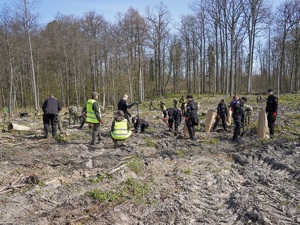 funkcjonariusze z Warmińsko-Mazurskiego Oddziału Straży Granicznej z młodzieżą sadzą dęby funkcjonariusze z Warmińsko-Mazurskiego Oddziału Straży Granicznej z młodzieżą sadzą dęby