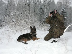 patrol z psem służbowym 