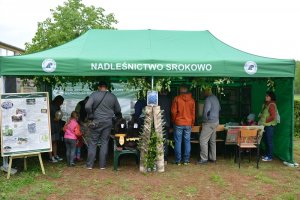 Namiot promocyjny Nadleśnictwa Srokowo 